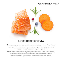 GRANDORF Fresh Adult MEDIUM & MAXI Salmon & Sweet Potato (Свежее филе лосося с бататом для собак средних и крупных пород) 10 кг